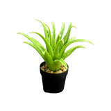 Load image into Gallery viewer, Small Aleo Potted Plant - 25cm