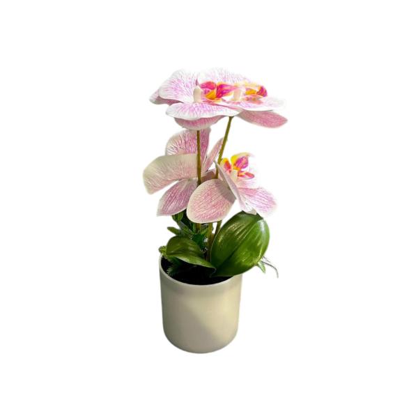 Orchid Pot - 25cm