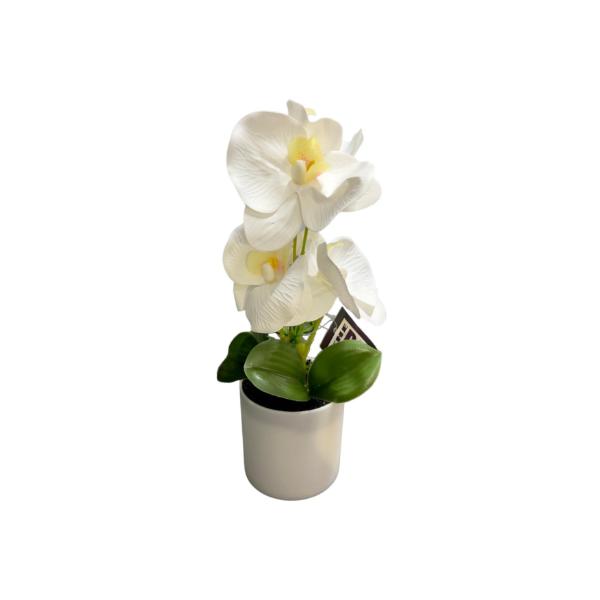 Orchid Pot - 25cm