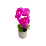 Load image into Gallery viewer, Orchid Pot - 25cm