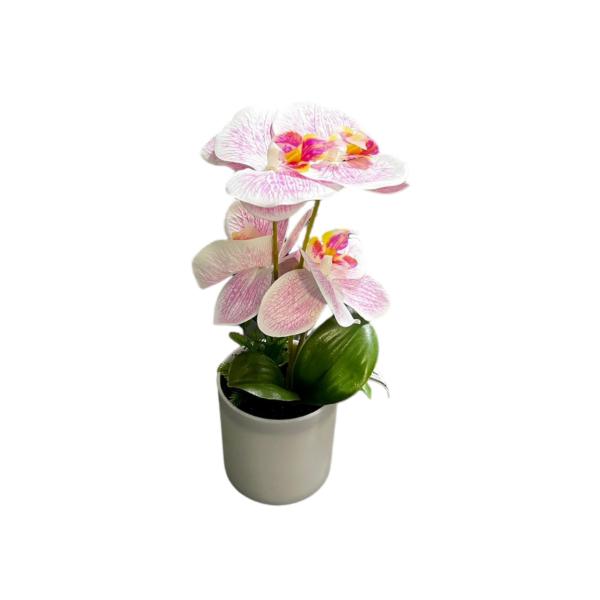 Orchid Pot - 25cm