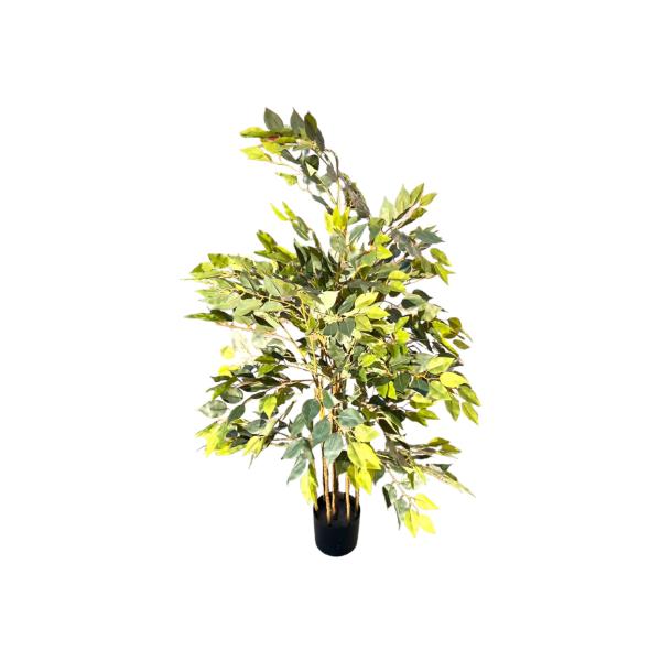 Red Leaf Tree - 180cm