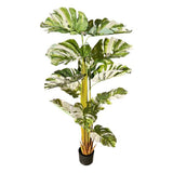 Load image into Gallery viewer, Bamboo Tree - 175cm