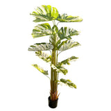 Load image into Gallery viewer, Bamboo Tree - 175cm