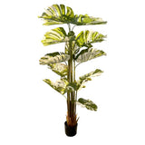 Load image into Gallery viewer, Bamboo Tree - 175cm