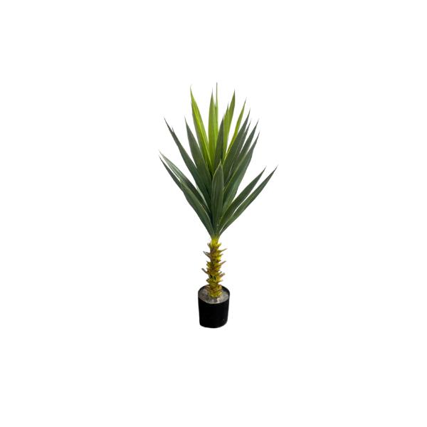 Green Aleo Potted Tree - 85cm