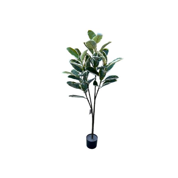 Banana Leaf Money Tree - 145cm