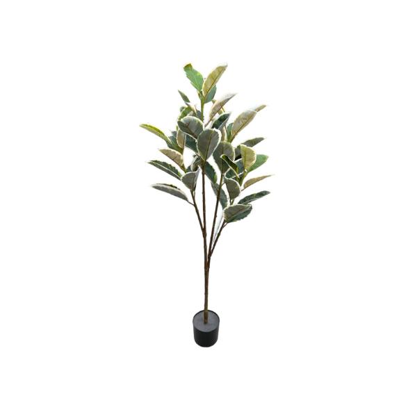 Banana Leaf Money Tree - 145cm