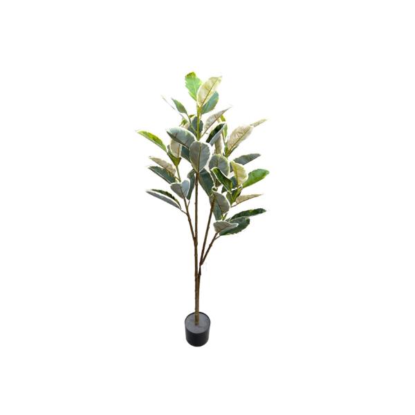 Banana Leaf Money Tree - 145cm