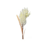 Load image into Gallery viewer, Baby Breath Branch