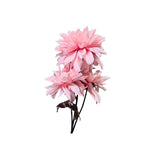 Load image into Gallery viewer, Large Dalia