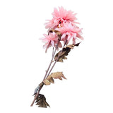 Load image into Gallery viewer, Large Dalia