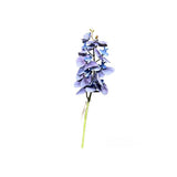 Load image into Gallery viewer, Long Orchid