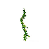 Load image into Gallery viewer, Rose Leaf Garland - 170cm