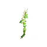 Load image into Gallery viewer, Pothos Bush Garland - 200cm
