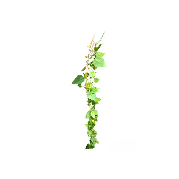 Pothos Bush Garland - 200cm
