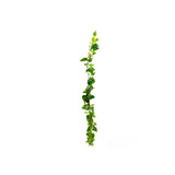 Load image into Gallery viewer, Pothos Bush Garland - 200cm