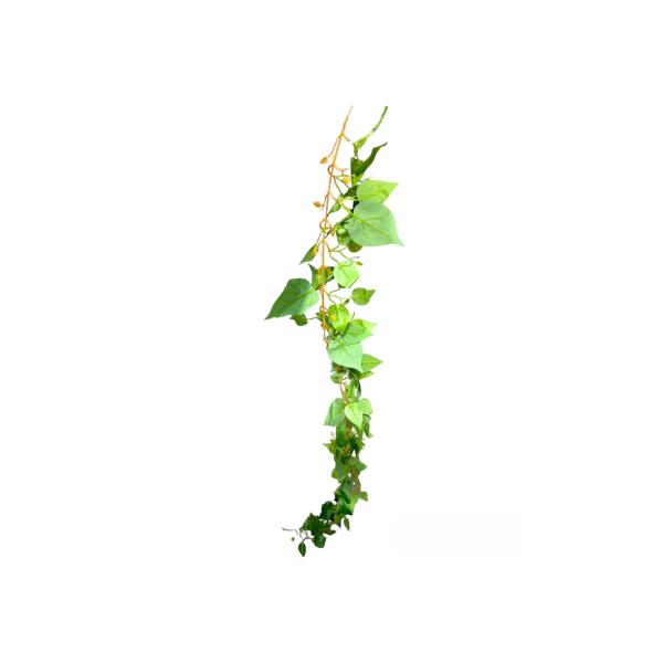 Pothos Bush Garland - 200cm