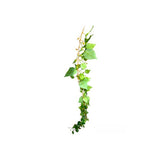 Load image into Gallery viewer, Pothos Bush Garland - 200cm