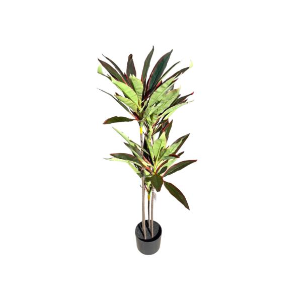 Dark Green Dracaena Potted Plant - 120cm