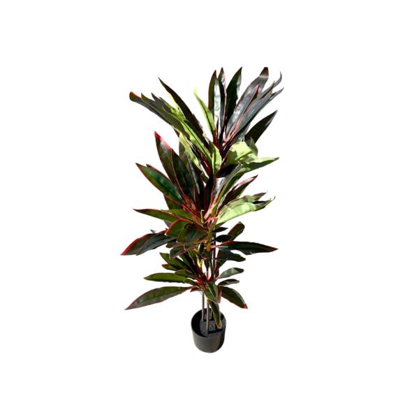 Dark Green Dracaena Potted Plant - 120cm