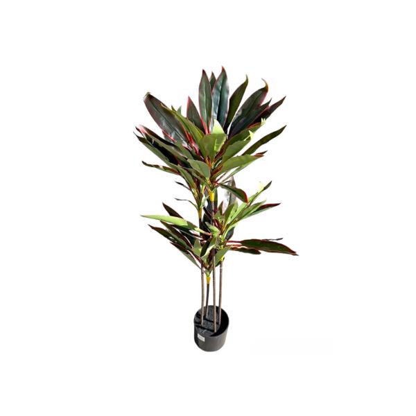 Dark Green Dracaena Potted Plant - 120cm