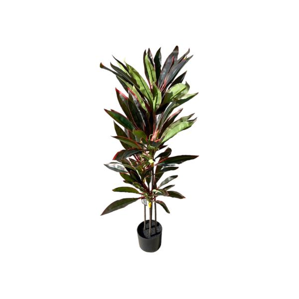 Dark Green Dracaena Potted Plant - 120cm