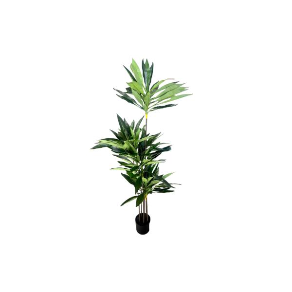 Green Dracaena Potted Plant - 150cm