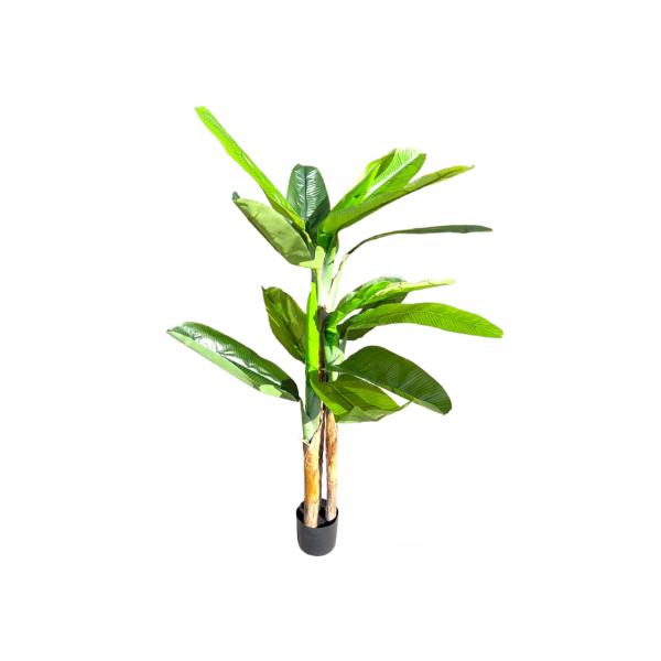 Bird Of Paradise Potted Plant - 160cm