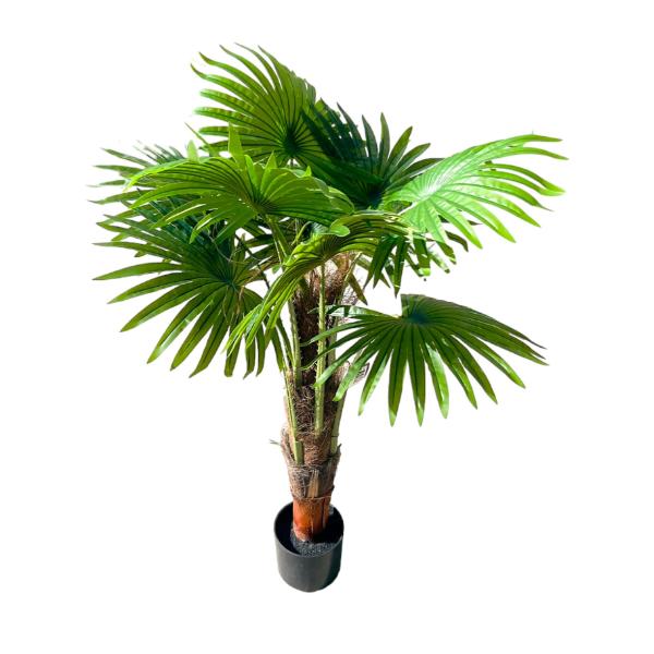 Cycad Fern Potted Plant - 120cm