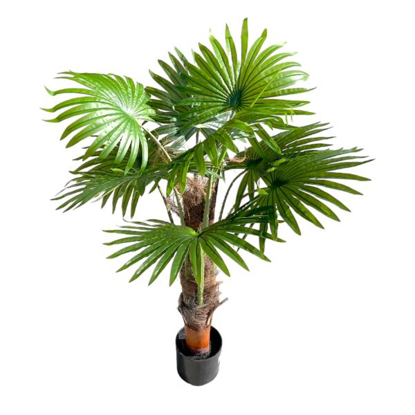 Cycad Fern Potted Plant - 120cm