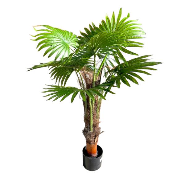 Cycad Fern Potted Plant - 120cm