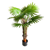 Load image into Gallery viewer, Cycad Fern Potted Plant - 120cm