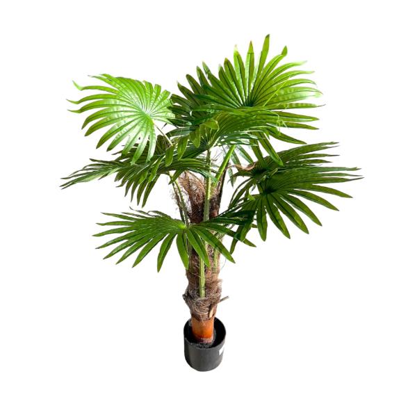 Cycad Fern Potted Plant - 120cm