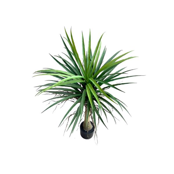 Yucca Potted Plant - 90cm