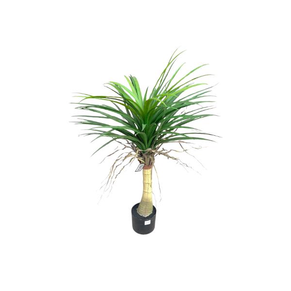 Yucca Potted Plant - 90cm