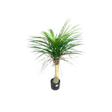 Load image into Gallery viewer, Yucca Potted Plant - 90cm