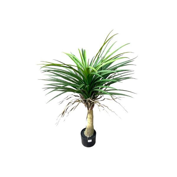 Yucca Potted Plant - 90cm