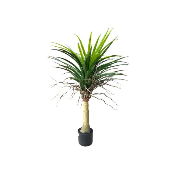 Yucca Potted Plant - 90cm