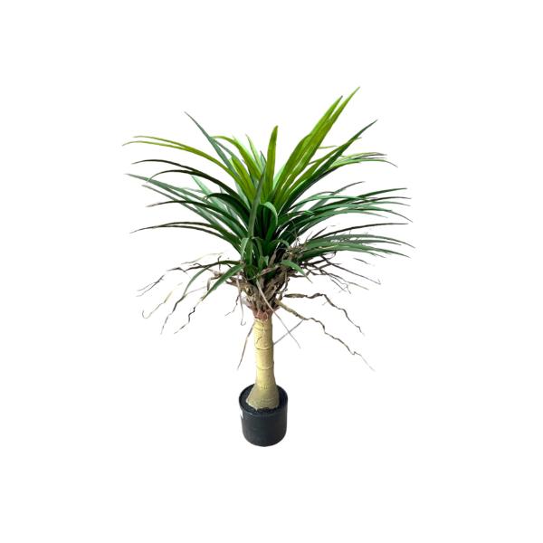 Yucca Potted Plant - 90cm