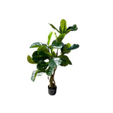Load image into Gallery viewer, Fiddle Leaf Fig Potted Plant - 120cm