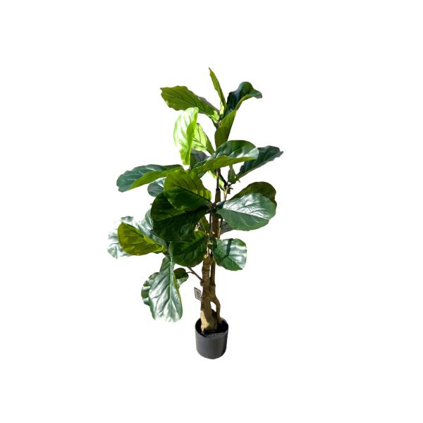 Fiddle Leaf Fig Potted Plant - 120cm