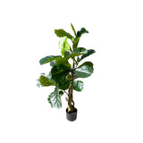 Load image into Gallery viewer, Fiddle Leaf Fig Potted Plant - 120cm