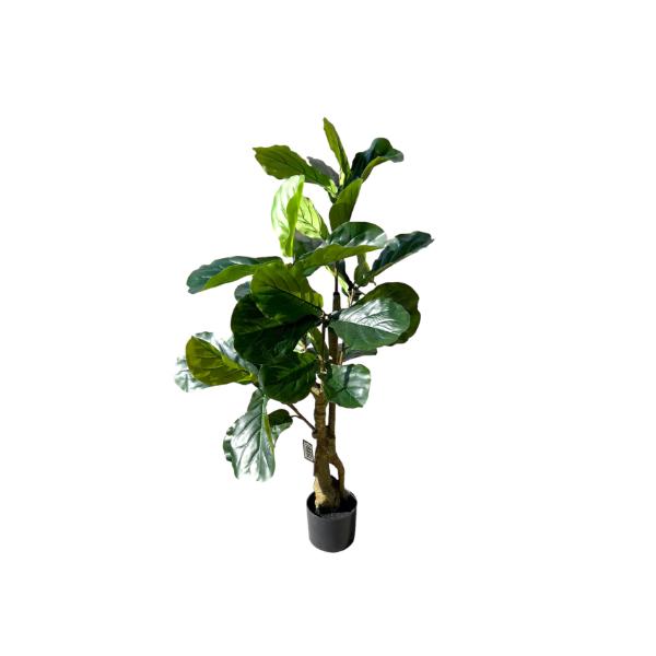 Fiddle Leaf Fig Potted Plant - 120cm