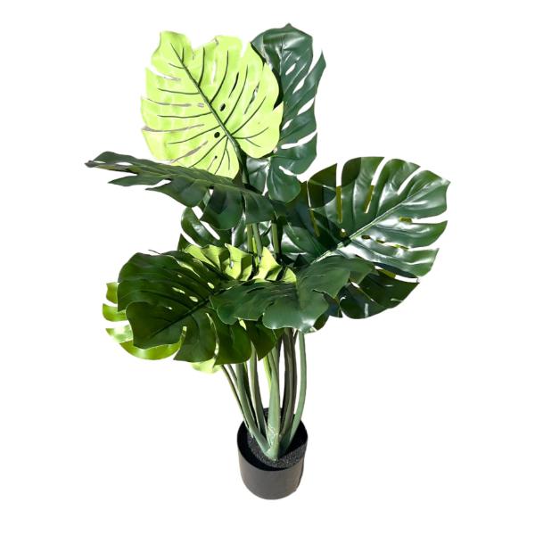 Split Philo Potted Plant - 120cm