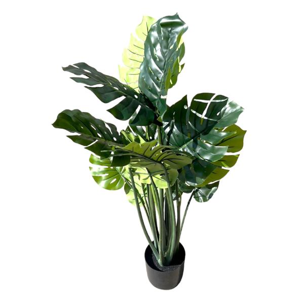 Split Philo Potted Plant - 120cm