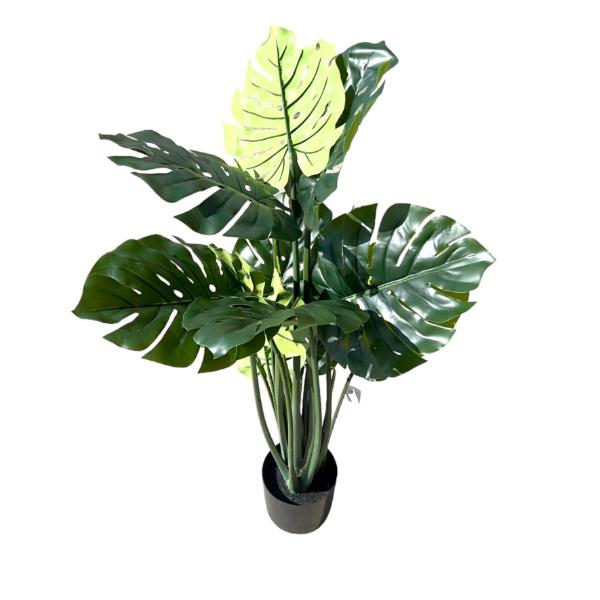 Split Philo Potted Plant - 120cm