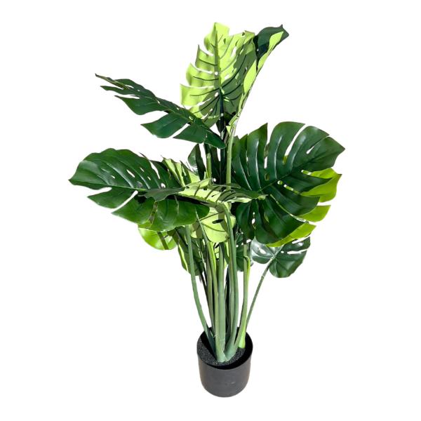 Split Philo Potted Plant - 120cm