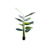 Load image into Gallery viewer, Bird Of Paradise Potted Plant - 200cm