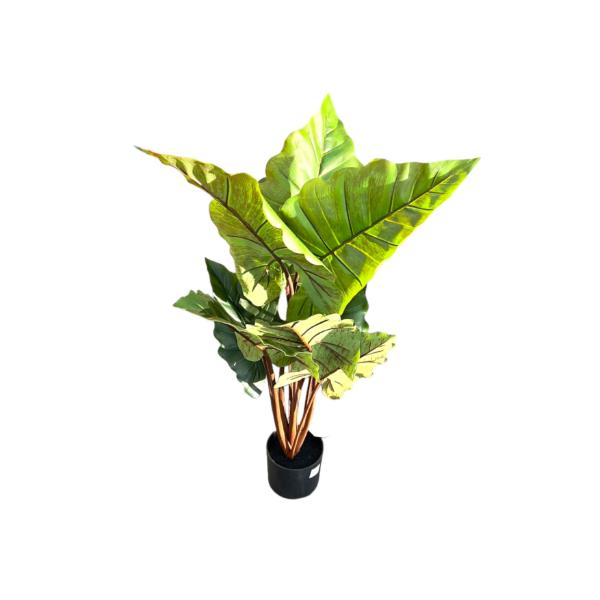 Elephant Ear Potted Plant - 100cm